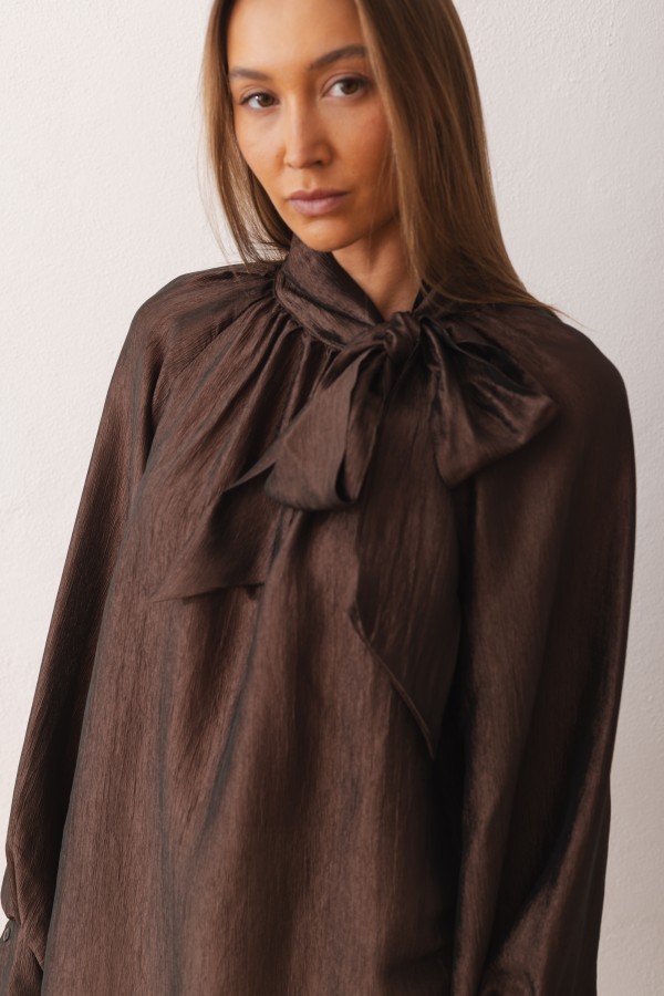 Sara Tie Blouse Brown