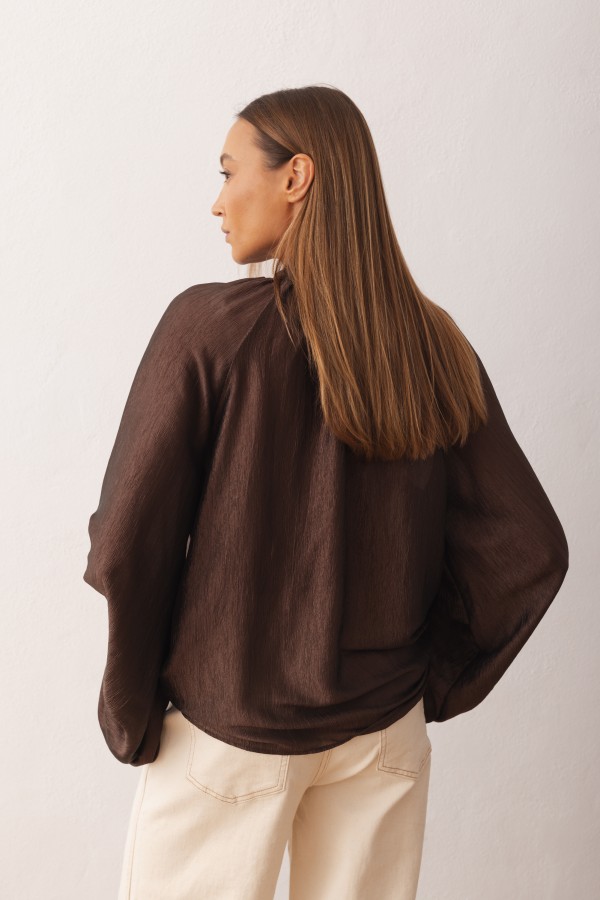 Sara Tie Blouse Brown