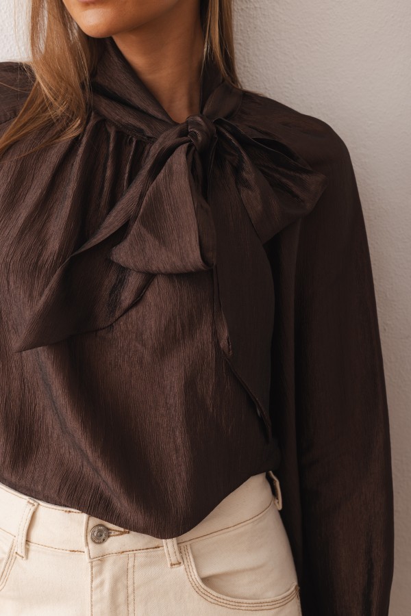 Sara Tie Blouse Brown